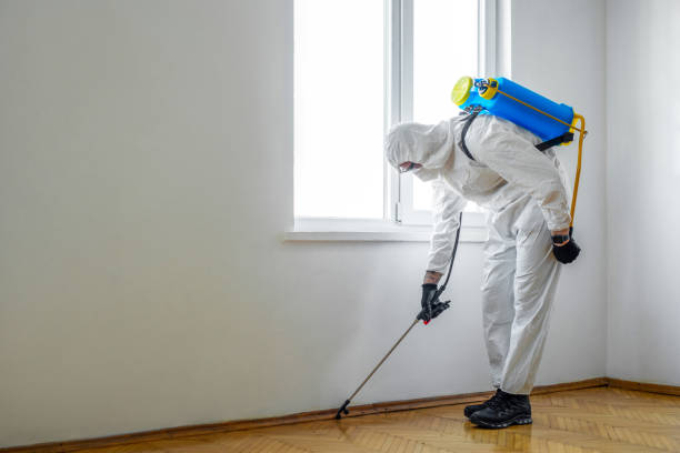 Best Flea Control Services  in Rising Sun, MD