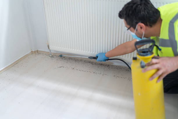 Best Best Pest Control Companies  in Rising Sun, MD